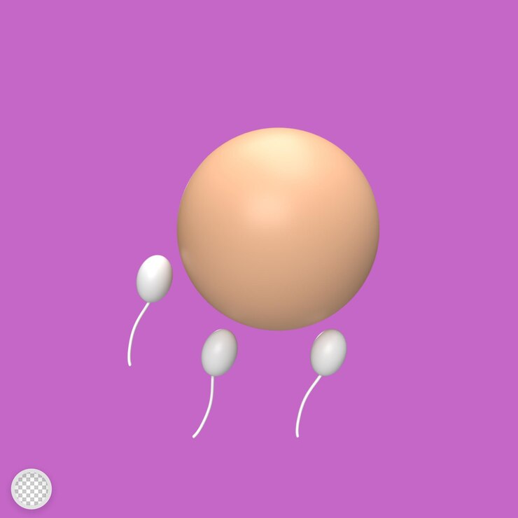 PSD sperm and egg cells are called 3d model cartoon style render illustration