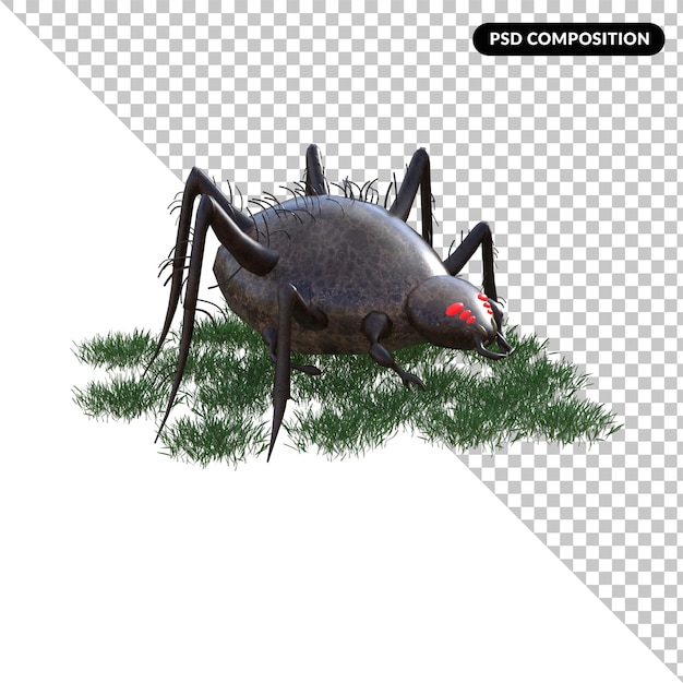 PSD spider helloween isolated 3d