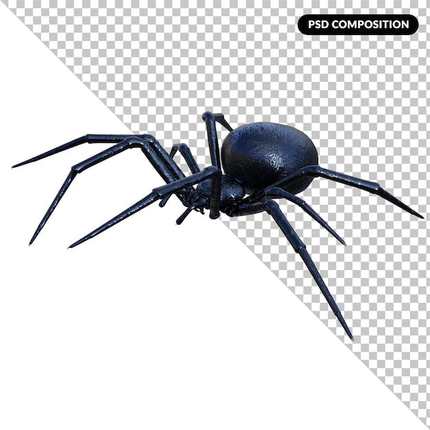 Spider isolated 3d rendering