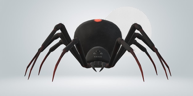 PSD spider isolated on a transparent background