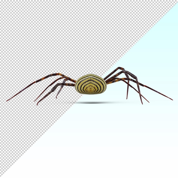 PSD spider isolated