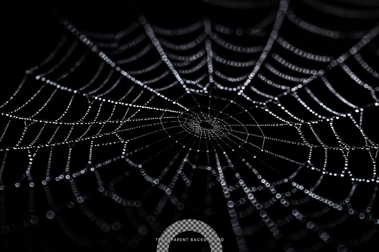 PSD spider net isolated