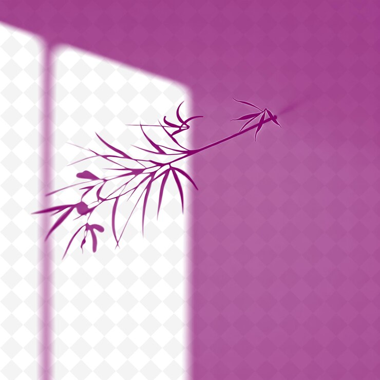 PSD spider plant leaves shadow casting thin linear shapes delicate png shadow cast illustrationsa