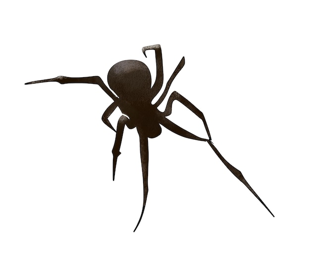 a spider that is black spider cartoon