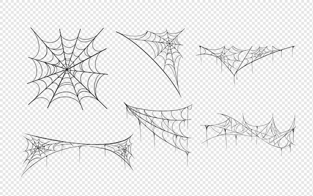 Spider Web Halloween Clipart Illustration