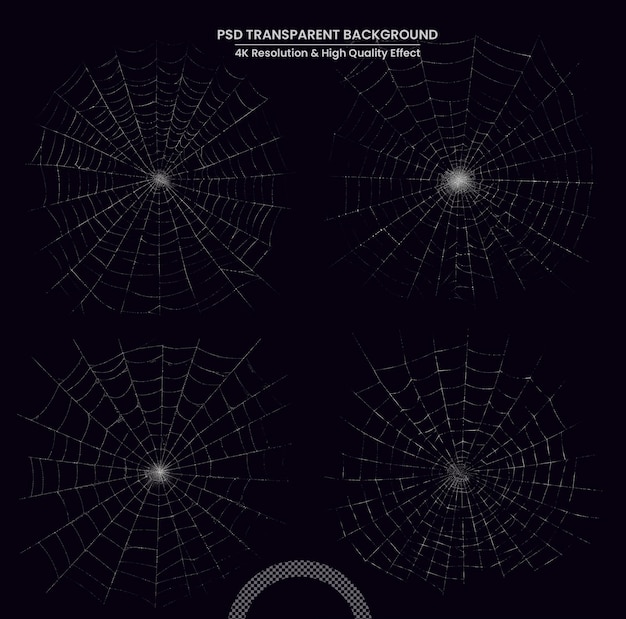 PSD spider web isolated on transparent background