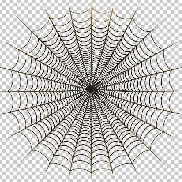 PSD spider web on transparent bg