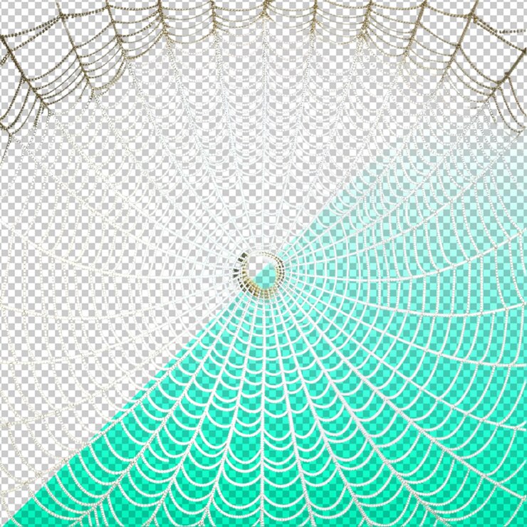 PSD spider web on transperent background
