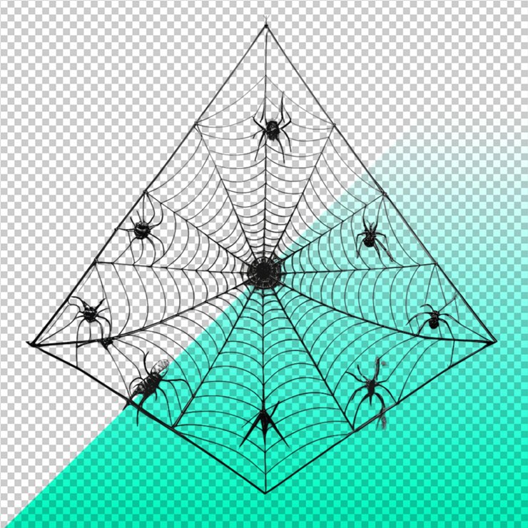 PSD spider web vector illustration