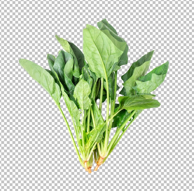 PSD spinach on alpha layer