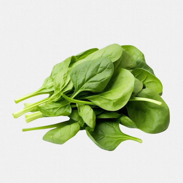 PSD spinach png