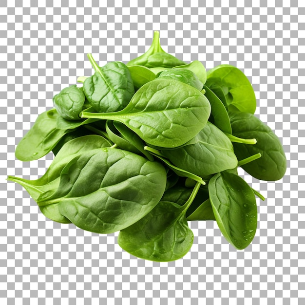 Spinach on transparent background