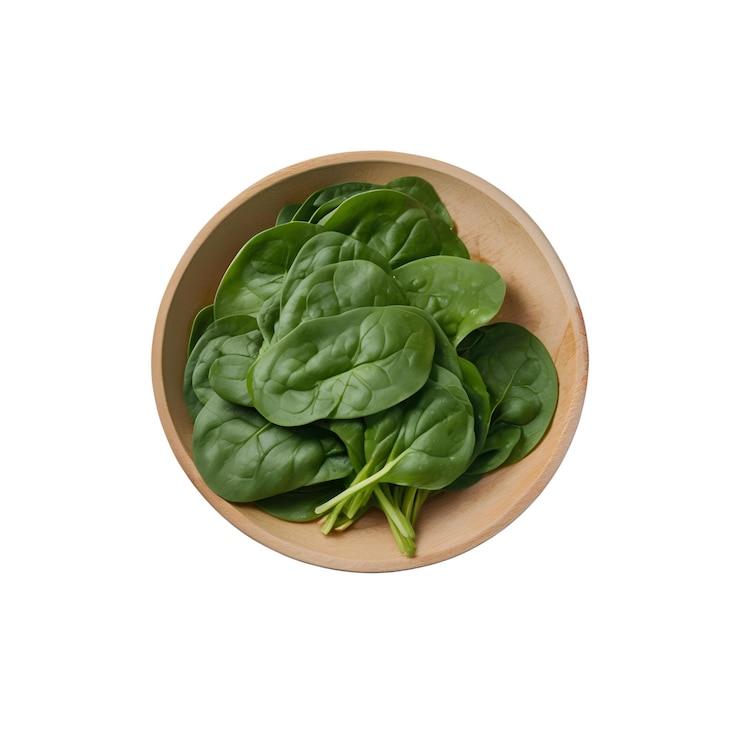 Spinach vegetable with white background close up