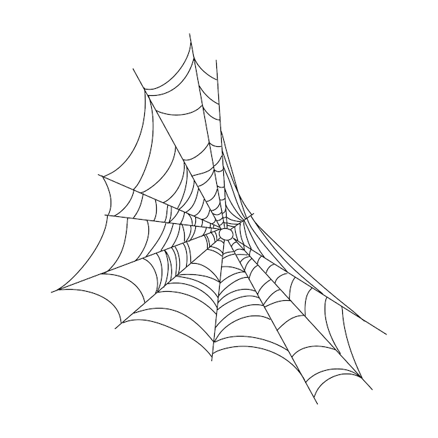 Spinnenweb monochroom