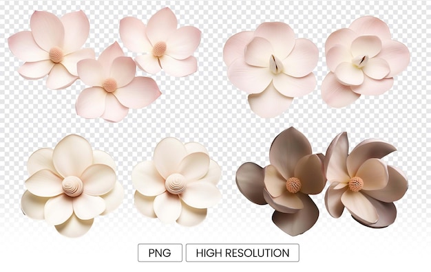 PSD 三本のマグノリアの花びらからなる巻きのパターンが微妙な美しさを捉えています