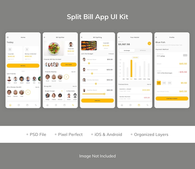 PSD kit interfaccia utente dell'app split bill