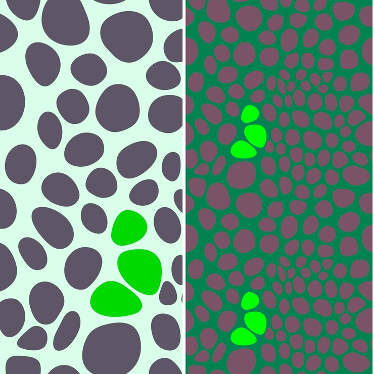 PSD sponge with porous silhouette abstract minimal design and sy nature pattern vector designs