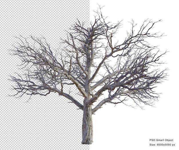 Spooky tree isolated 3d render