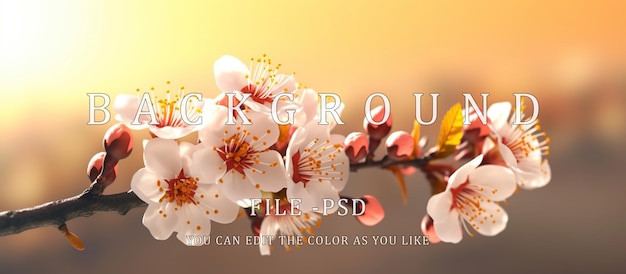 PSD fiori di ciliegio primaverili sfondo di sole arancione