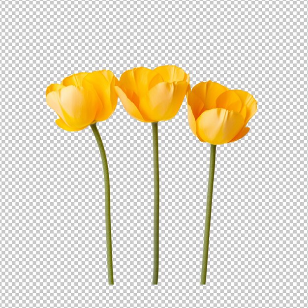 PSD spring flowers on transparent background