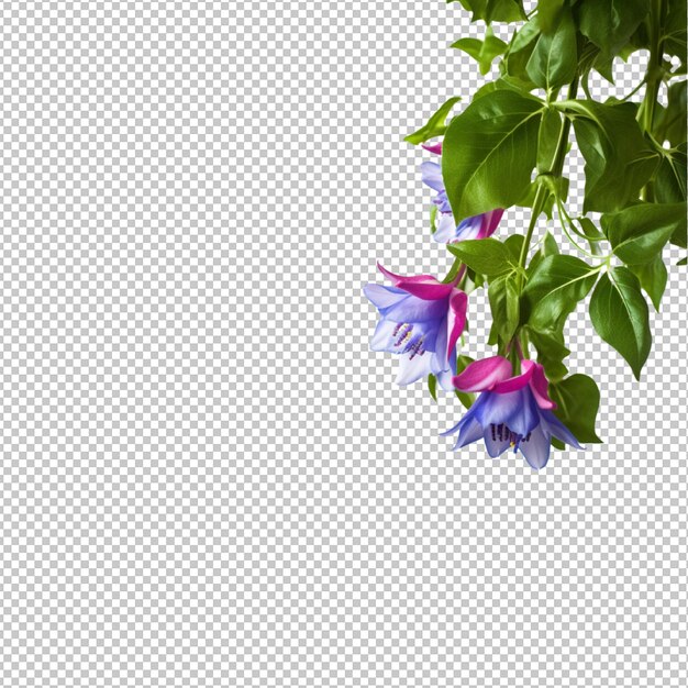 PSD spring flowers on transparent background