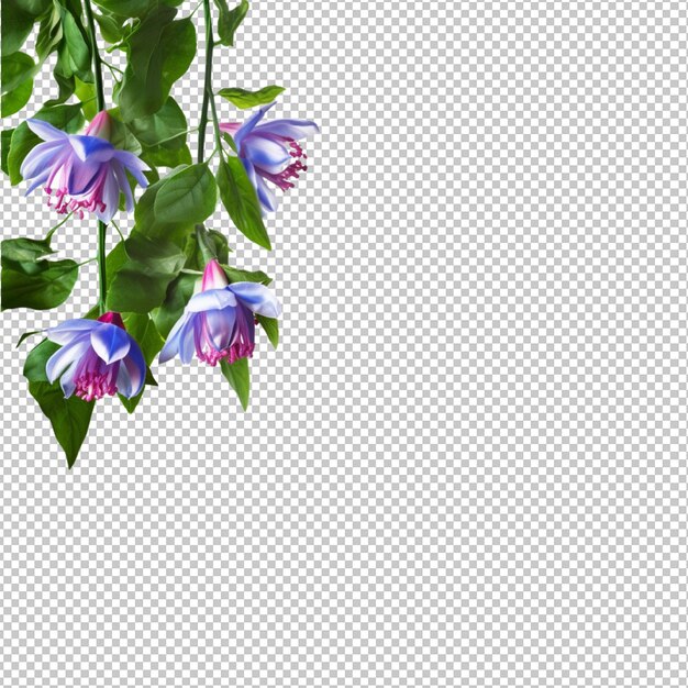 Spring flowers on transparent background