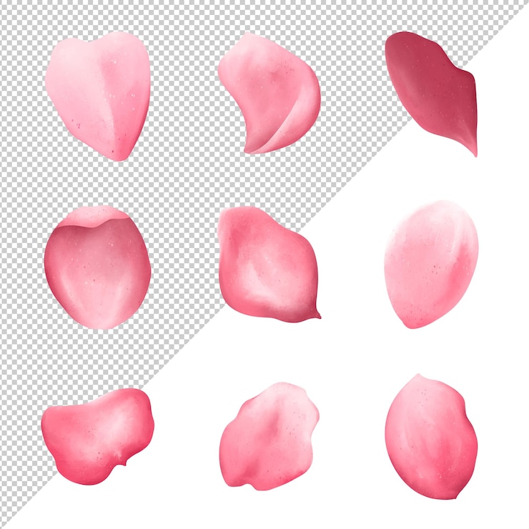 PSD 春のピンクの桜の葉の花の花セット