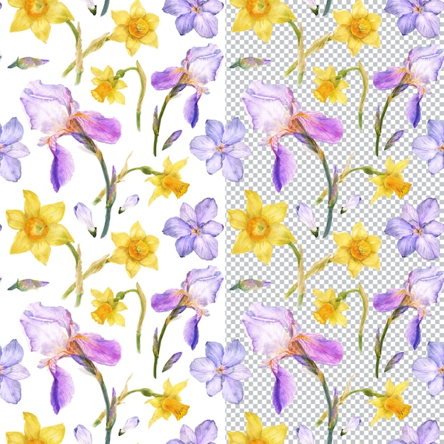 PSD spring seamless pattern iris and alstroemeria and daffodil flowers botanical watercolor floral art