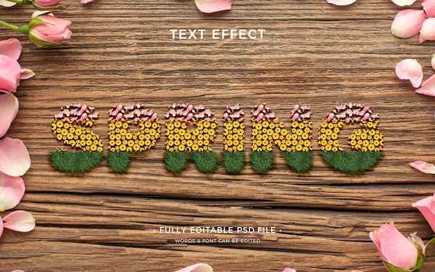 PSD spring text effect