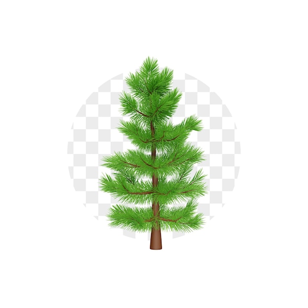 PSD spruce tree 3d icon premium psd