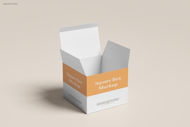 Square box mockup