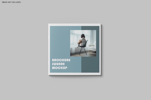 Square brochure and catalog mockup isolated