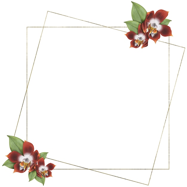 PSD square floral frame with red orchids leaves gold square elements isolated on white background