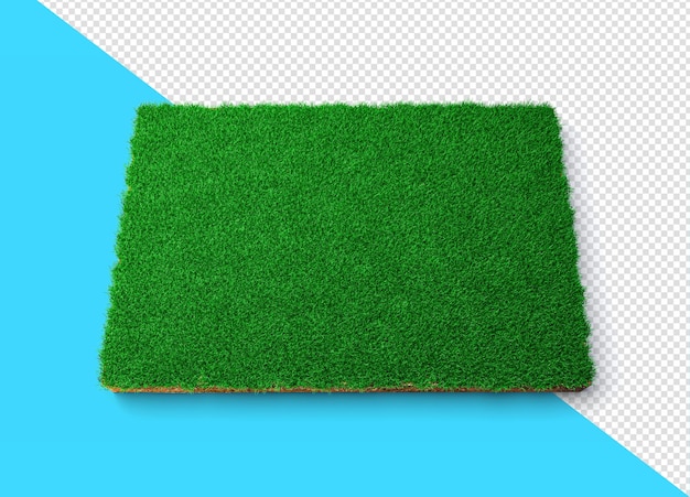 PSD square of green grass field over white background green grass and rock ground texture