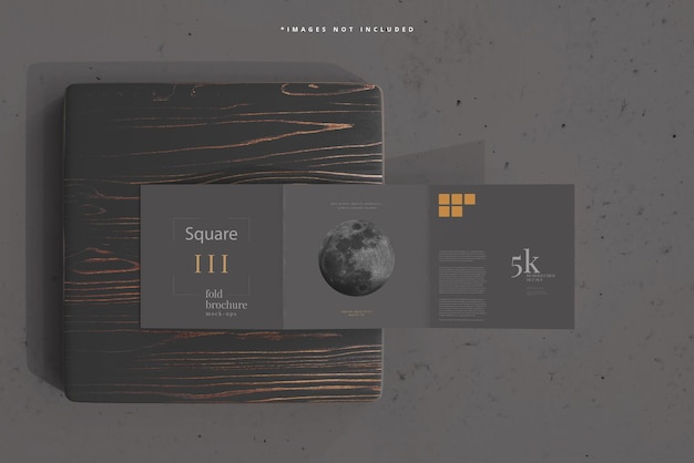 Square Tri Fold Brochure Mockup