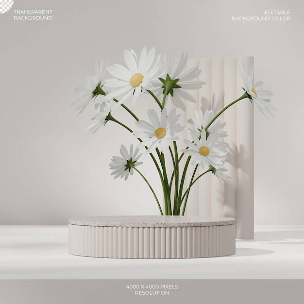 PSD in square white daisy flower 3d image render transparent background of beige cylinder podium