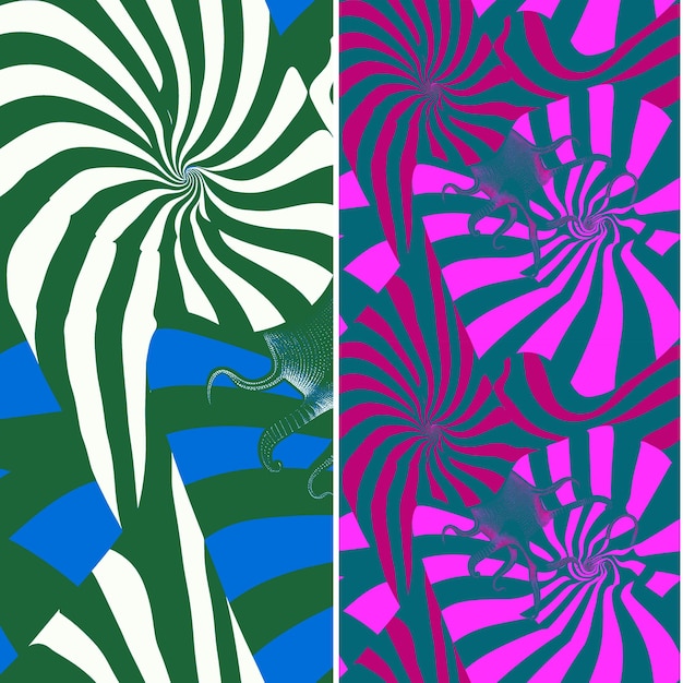 Squid With Spiral Silhouette Abstract Minimal Design and Rad Nature Pattern Vector Designs