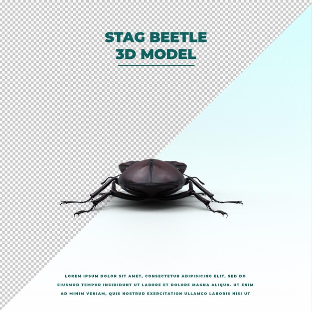 PSD stag beetle