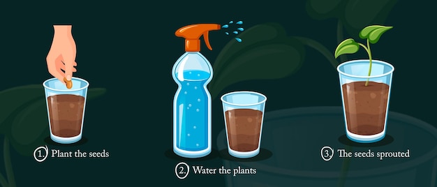 PSD stages of plant growing with instruction