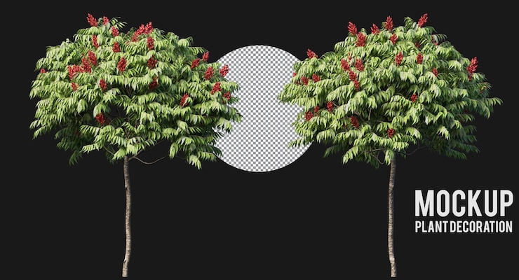 PSD staghorn sumac trees and branches isolated, medium green leaf trees clipping path