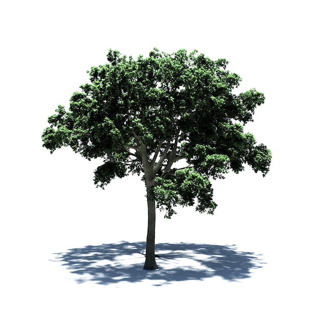 Standalone Tree
