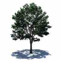 PSD standalone tree