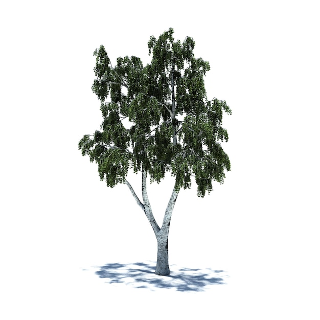 Standalone Tree