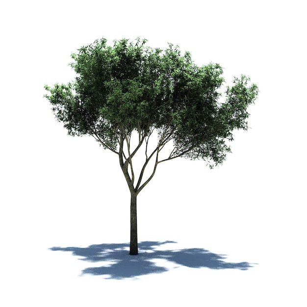 Standalone Tree