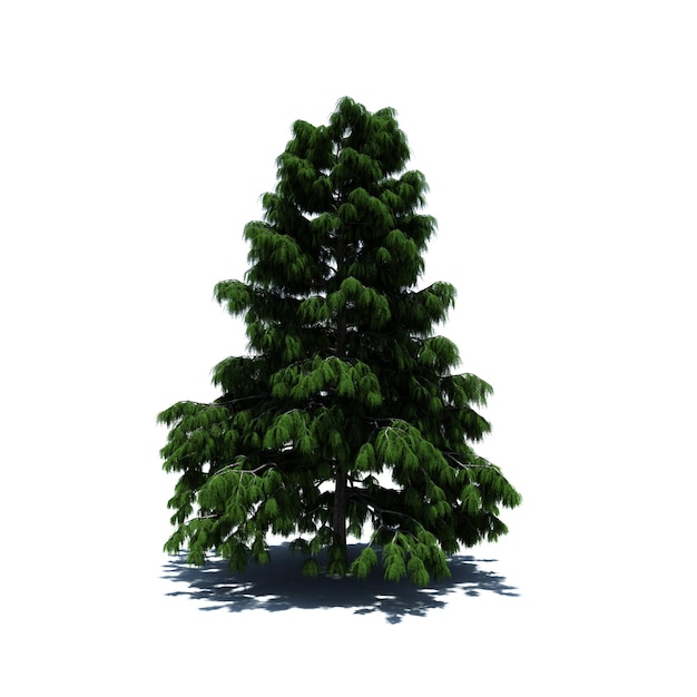 Standalone Tree