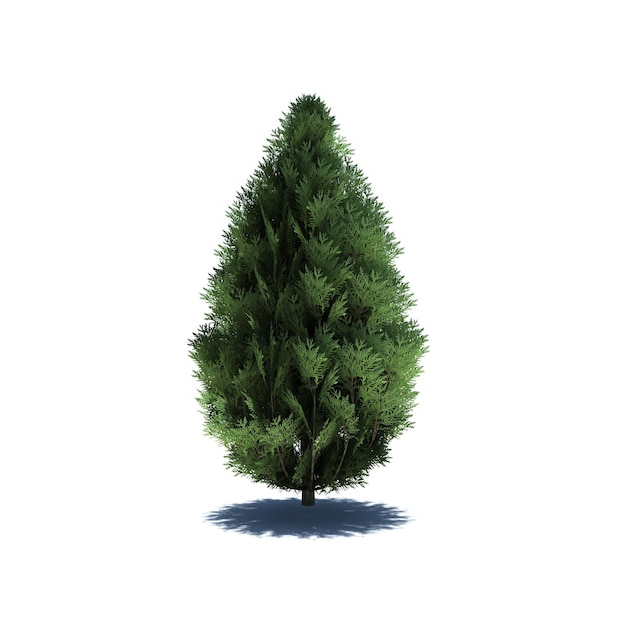 Standalone Tree