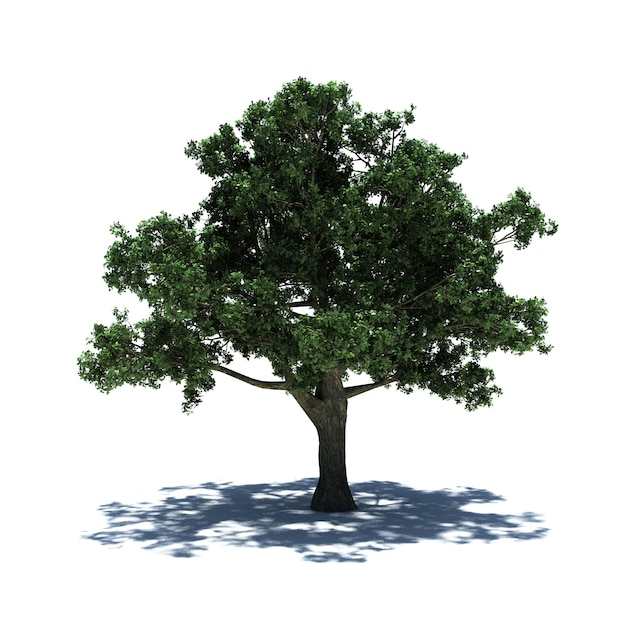 Standalone tree