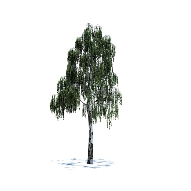 PSD standalone tree