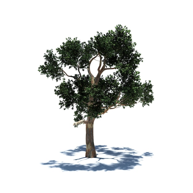 PSD standalone tree