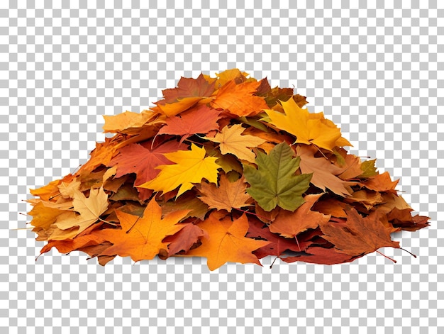 PSD stapel herfstbladeren geïsoleerd op transparante achtergrond png psd